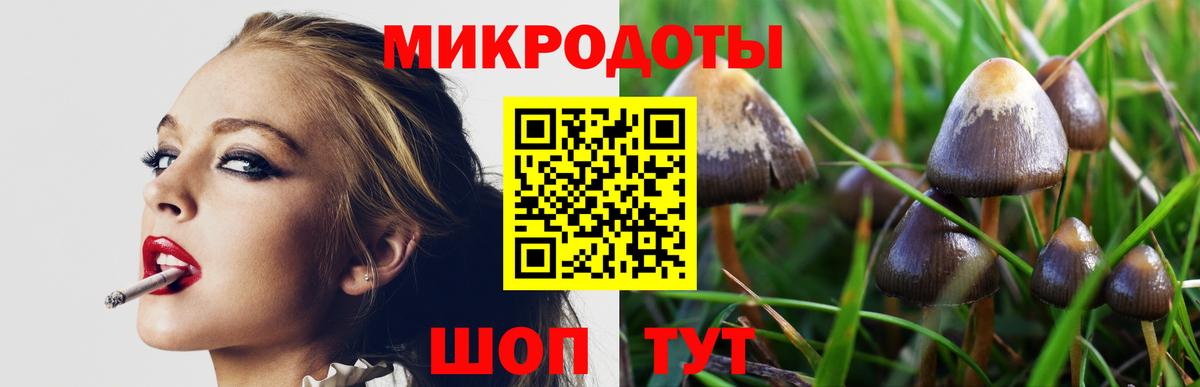 Галлюциногенные грибы ЛСД  Галлюциногенные грибы Psilocybe  дарнет шоп  Вход с VPN  Тайшет 