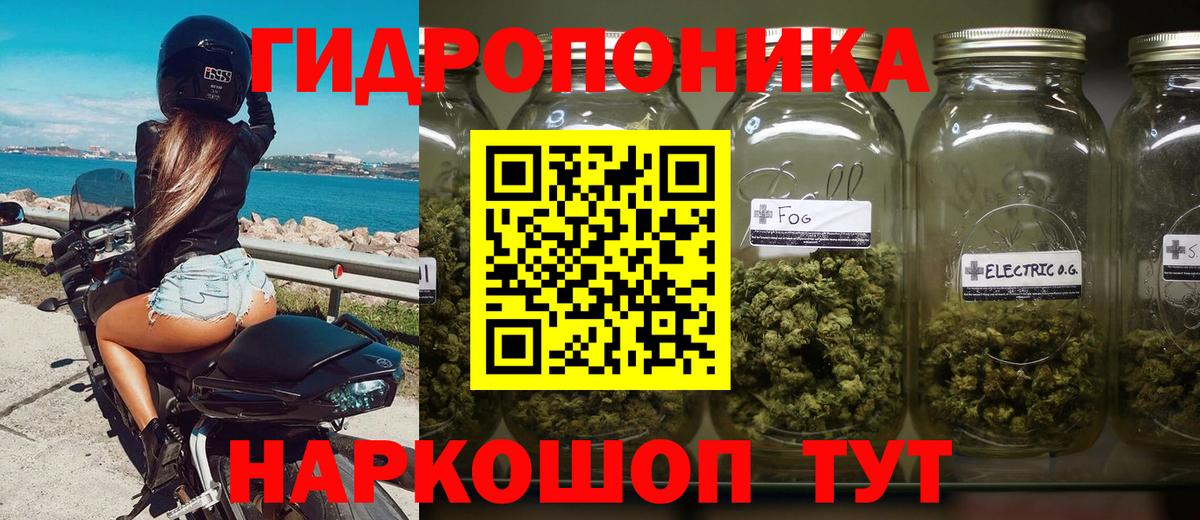Бошки Шишки MAZAR Тайшет